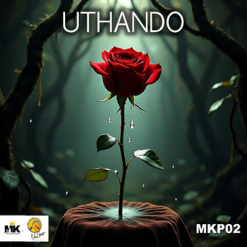 Uthando album art