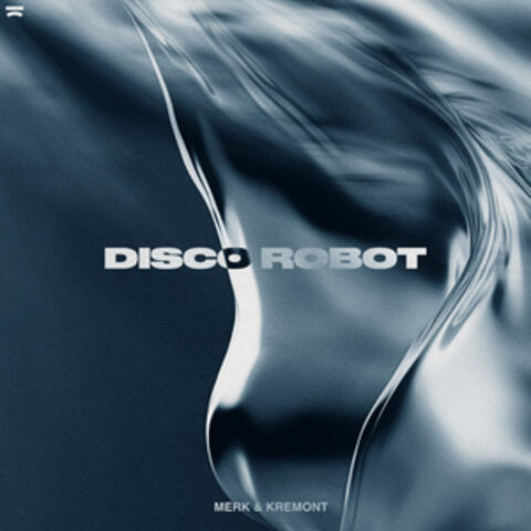 Disco Robot album art