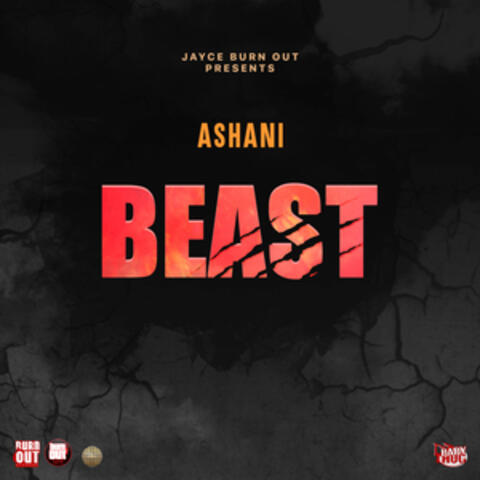 Beast album art