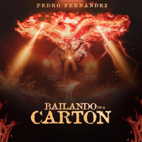 Bailando De A Cartón album art