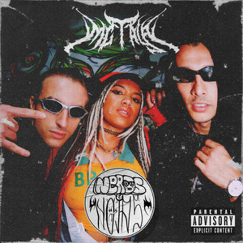 NERDS&NOIAS album art