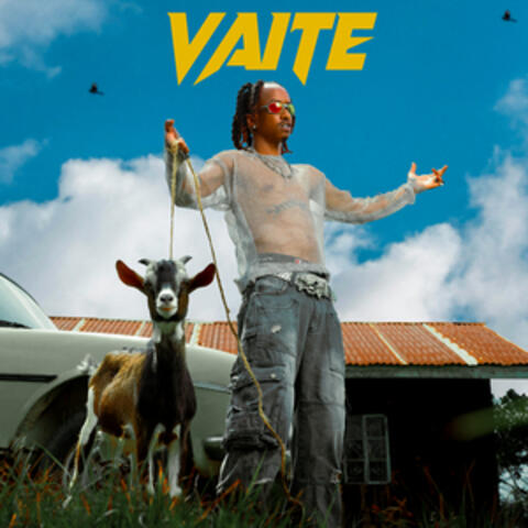 Vaite album art