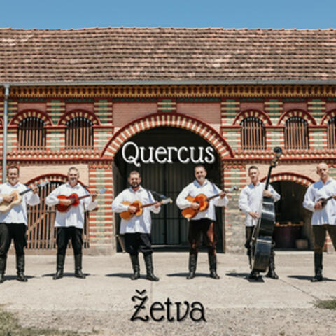 Žetva album art