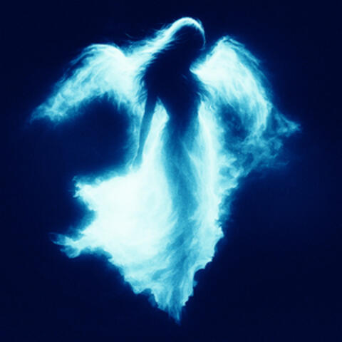 I Wanna Love U album art