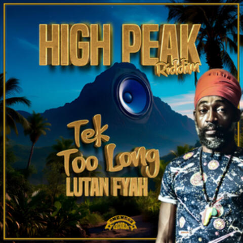 Tek Too Long album art