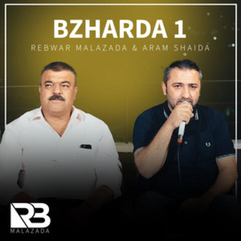 Bzharda 1 album art
