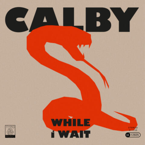 While I Wait album art