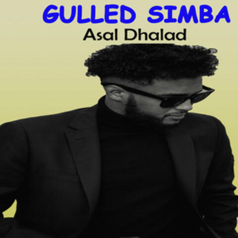 Asal Dhalad album art