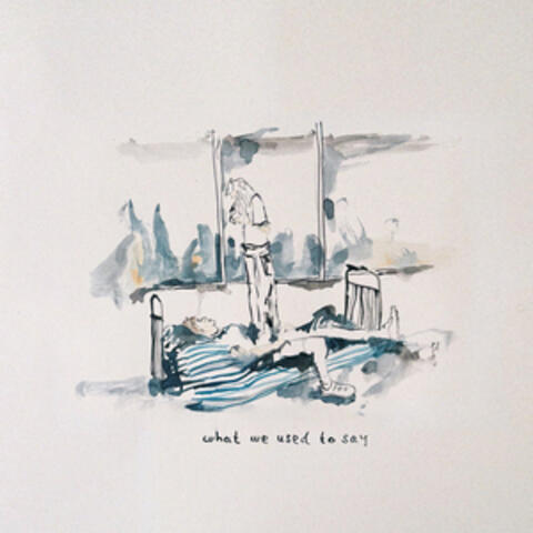 What We Used To Say album art