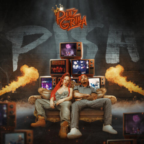 Pisa album art
