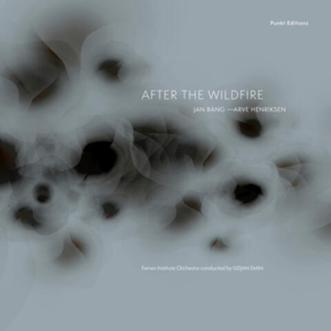 After the Wildfire album art