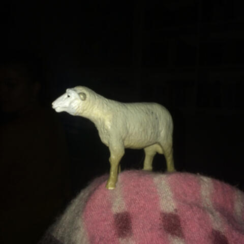 Air Is Getting Stranger album art