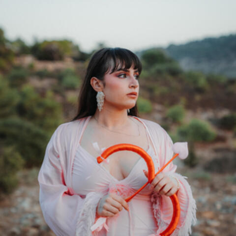 החץ המנצח album art