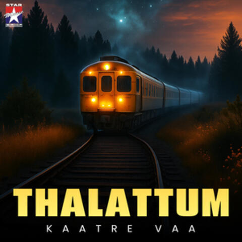 Thalattum Katre Vaa (From"Poovellam Unn Vaasam") album art