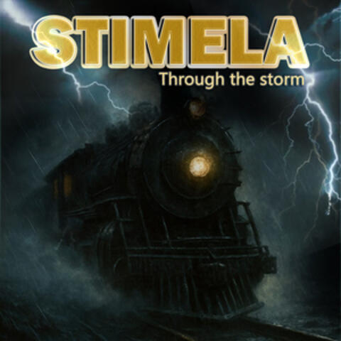 Through The Storm album art