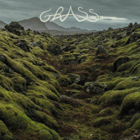 Grass album art