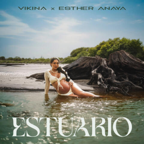 Estuario album art
