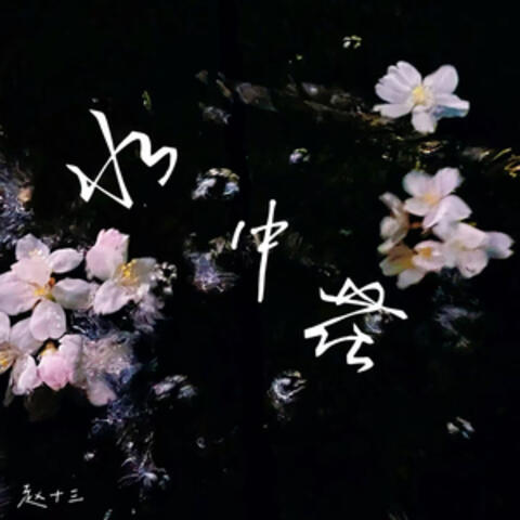 水中花 album art