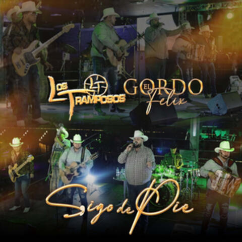 Sigo De Pie album art