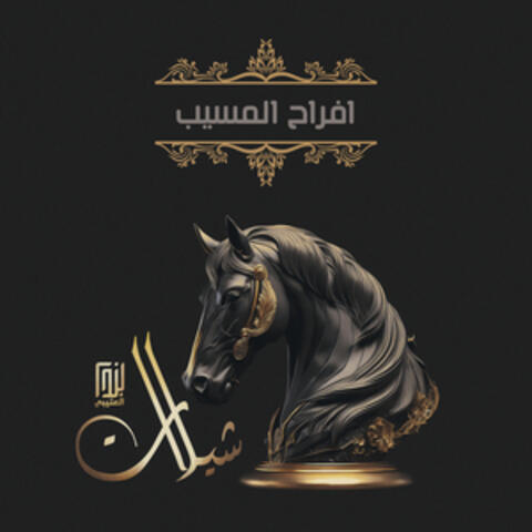 افراح المسيب album art