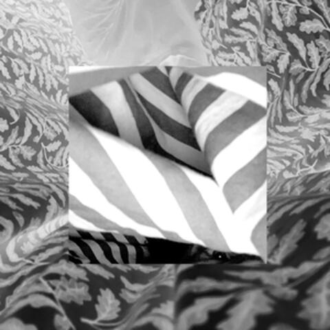 Shadows Of Hypomania album art