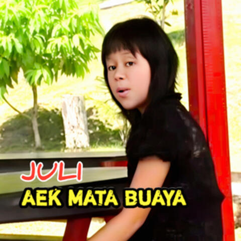 Aek Mata Buaya album art