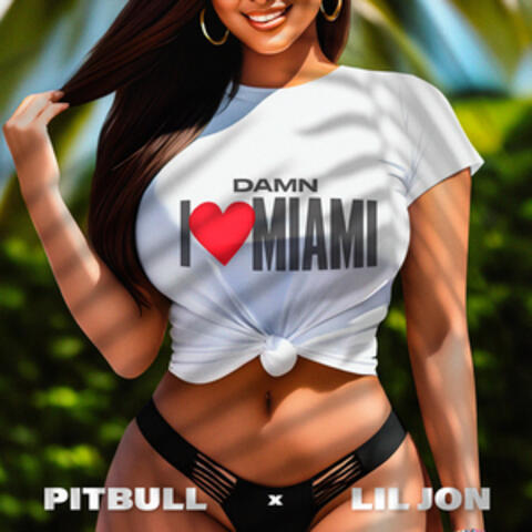 Damn I Love Miami album art