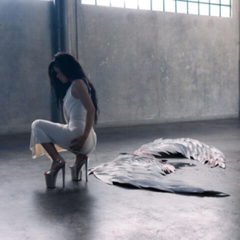 LOS ANGELES album art