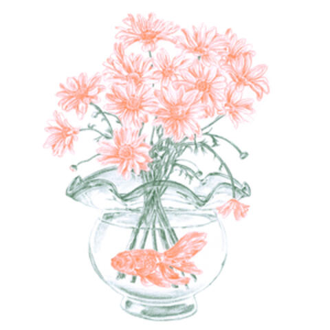 Goldfish album art
