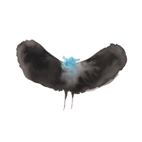 Asymmetric album art