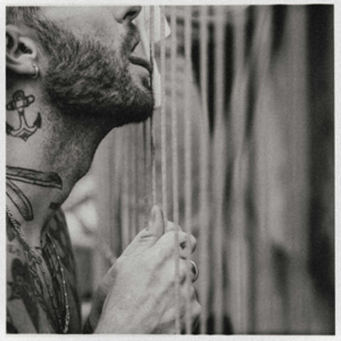 Slipp meg inn igjen album art