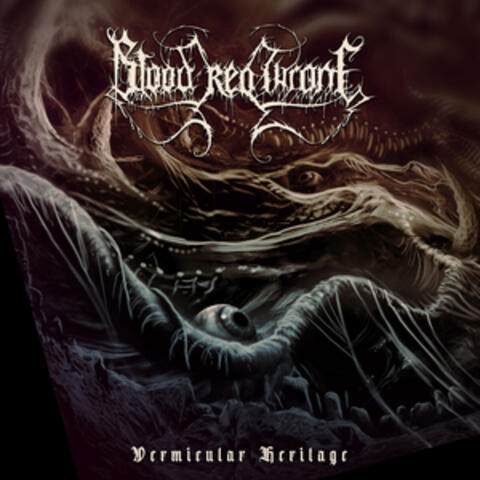 Vermicular Heritage album art