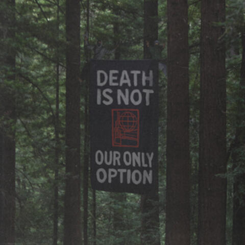 DEATH IS NOT OUR ONLY OPTION album art