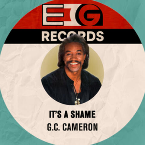 It's a Shame album art