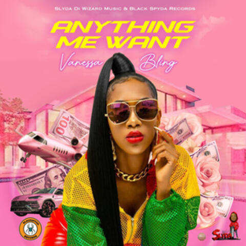 Anything Me Want album art