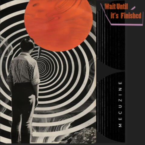 Wait Until It's Finished album art