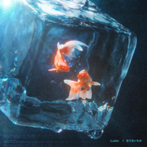 足りないもの album art