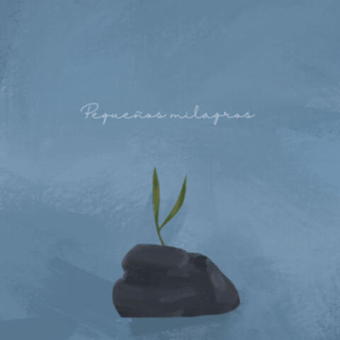Pequeños Milagros album art