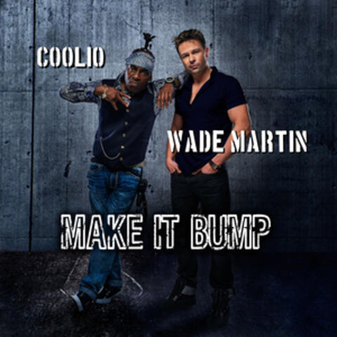Make it Bump album art