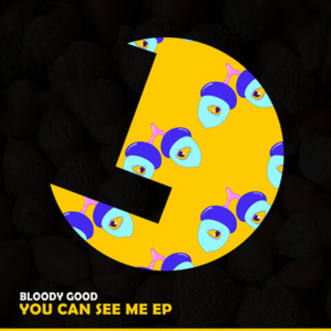 You Can See Me EP album art