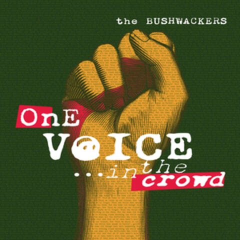 One Voice In The Crowd album art