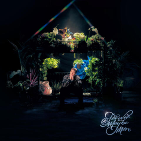 Forever & Maybe More album art