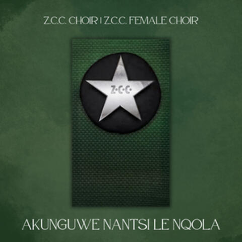 Akunguwe Nantsi Le Nqola album art