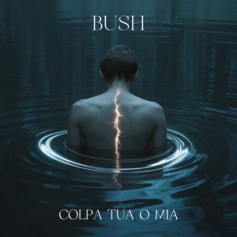 COLPA TUA O MIA album art