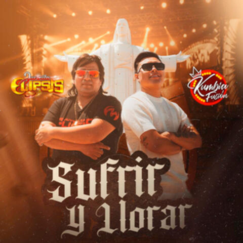 Sufrir y Llorar album art