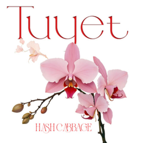 Tuyet album art