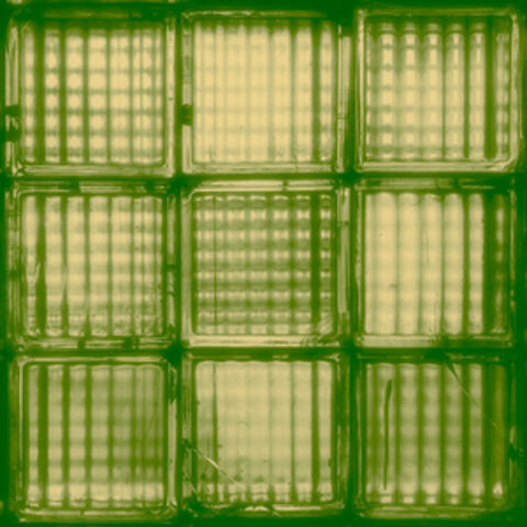 First Light / Last Word album art