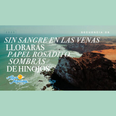 Sin Sangre En Las Venas / Llorarás / Papel Rosadito / Sombras / De Hinojos album art