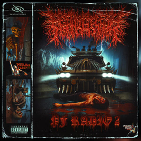 PF RADIO 2 album art