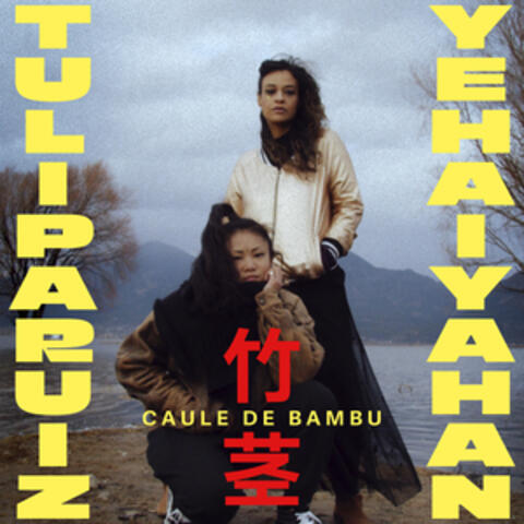 CAULE DE BAMBU 竹茎 album art